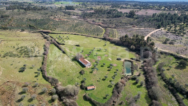 Quinta / Idanha-a-Nova, Ladoeiro