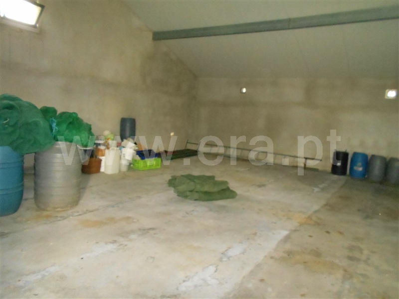 Quinta  Idanha-a-Nova, Ladoeiro - 1135110 - 4