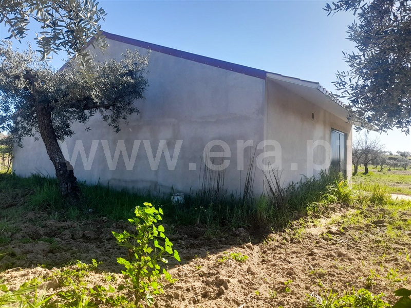 Quinta  Idanha-a-Nova, Ladoeiro - 1135110 - 4