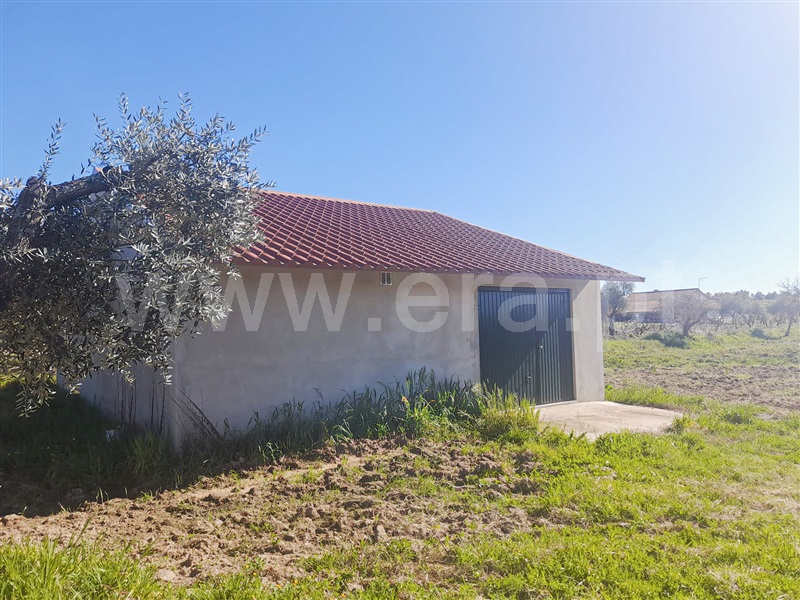 Quinta  Idanha-a-Nova, Ladoeiro - 1135110 - 5