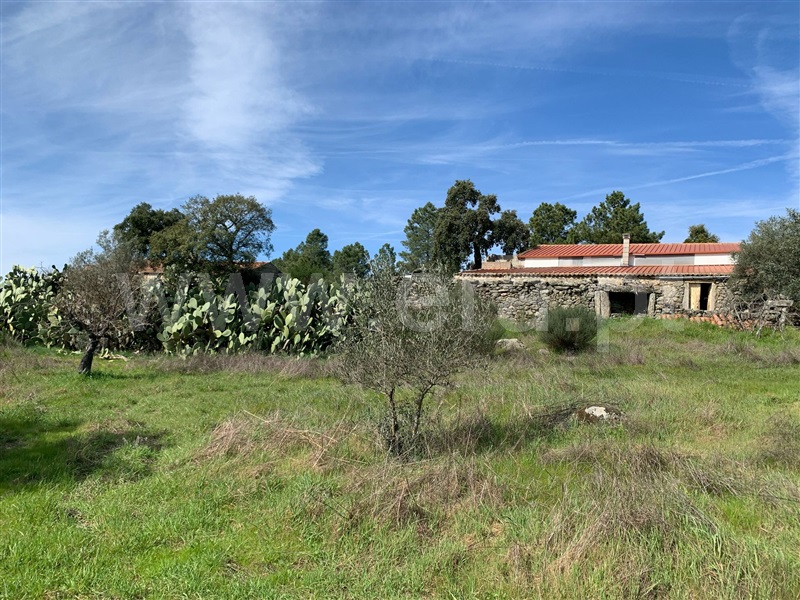 Quinta / Idanha-a-Nova, Monsanto e Idanha-a-Velha