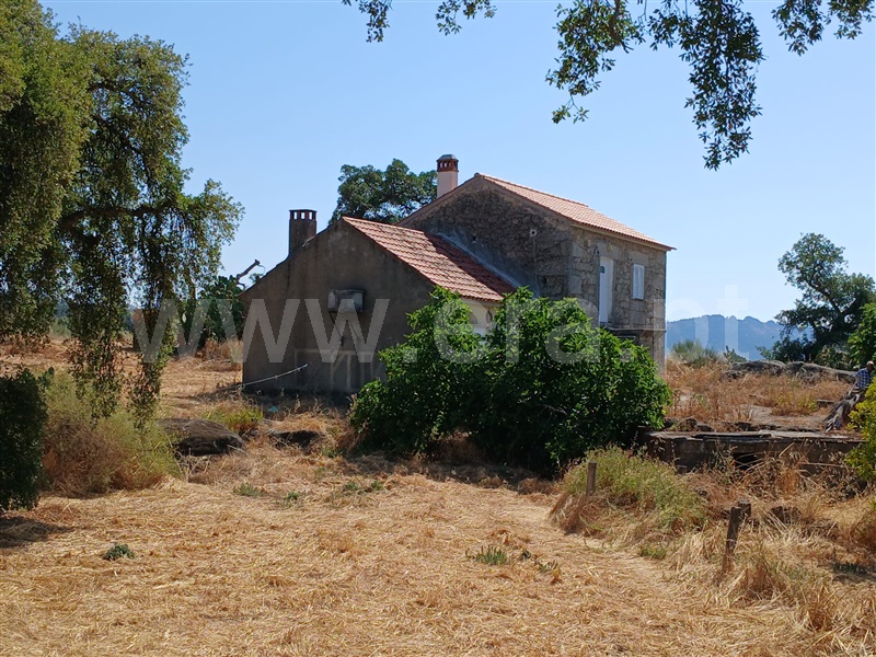 Quinta / Idanha-a-Nova, Monsanto