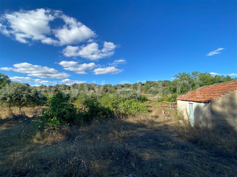 Quinta  Idanha-a-Nova, Idanha-a-Nova - 1417208 - 4