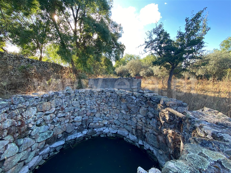 Quinta  Idanha-a-Nova, Idanha-a-Nova - 1417208 - 9