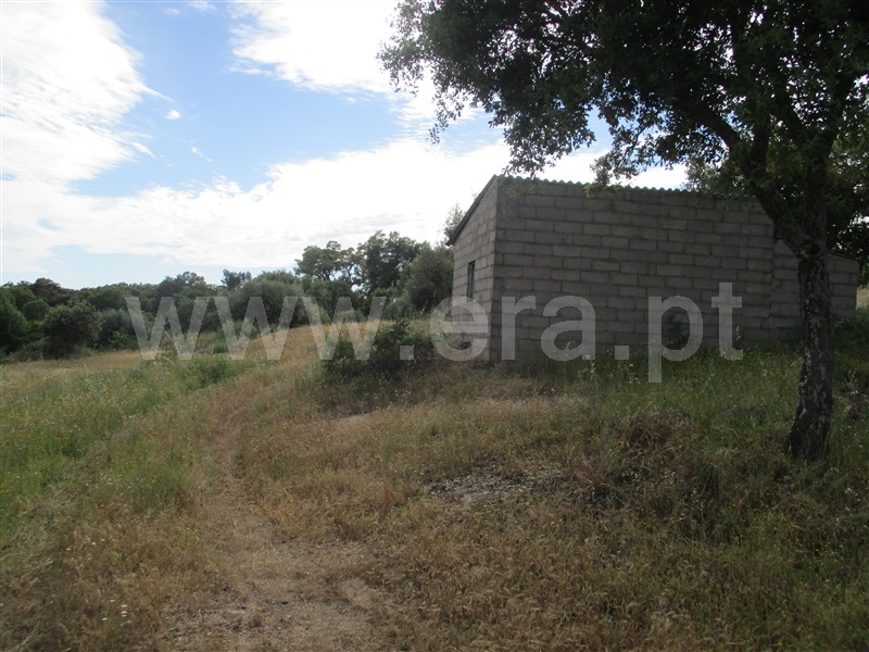 Quinta  Idanha-a-Nova, São Miguel de Acha - 1256605 - 16