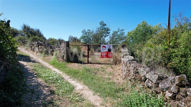 Quinta / Idanha-a-Nova, São Miguel de Acha