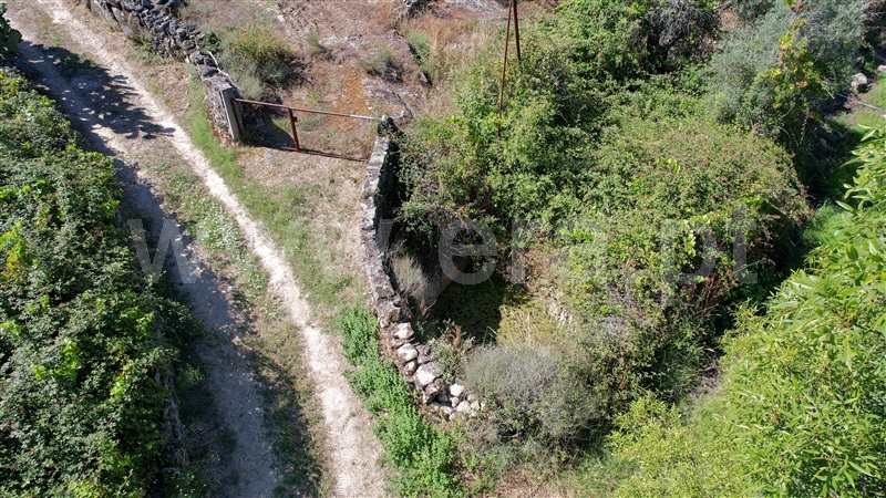 Quinta  com Agrícola Idanha-a-Nova, São Miguel de Acha - 1410315 - 17