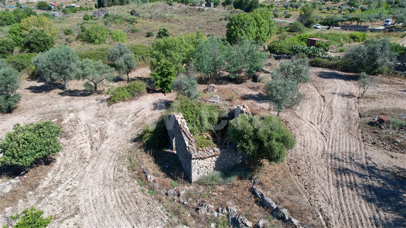 Quinta  com Agrícola Idanha-a-Nova, São Miguel de Acha - 1410315 - 18