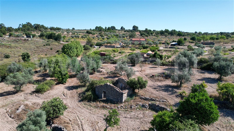 Quinta  com Agrícola Idanha-a-Nova, São Miguel de Acha - 1410315 - 19