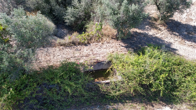 Quinta  com Agrícola Idanha-a-Nova, São Miguel de Acha - 1410315 - 20