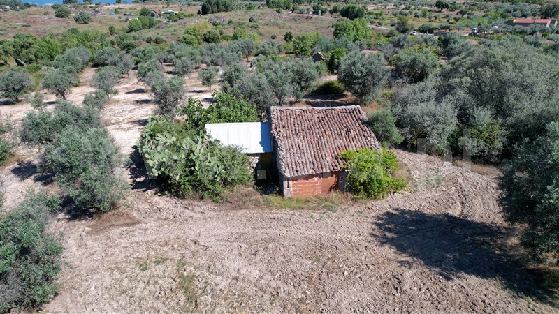 Quinta  com Agrícola Idanha-a-Nova, São Miguel de Acha - 1410315 - 22
