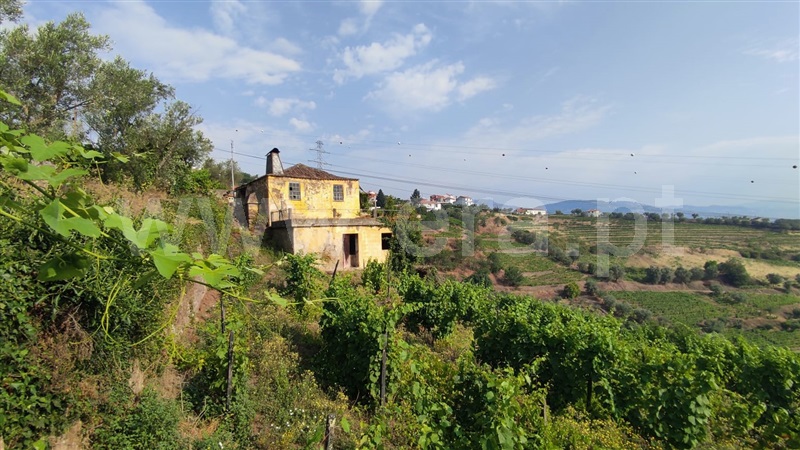 Quinta / Lamego, Cambres
