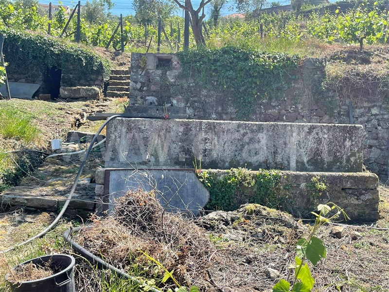 Quinta  com Agrícola Lamego, Cambres - 1260875 - 7