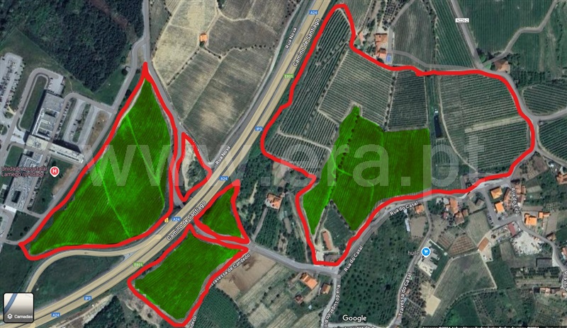 Terreno  Lamego, Lamego (Almacave e Sé) - 1411287 - 9