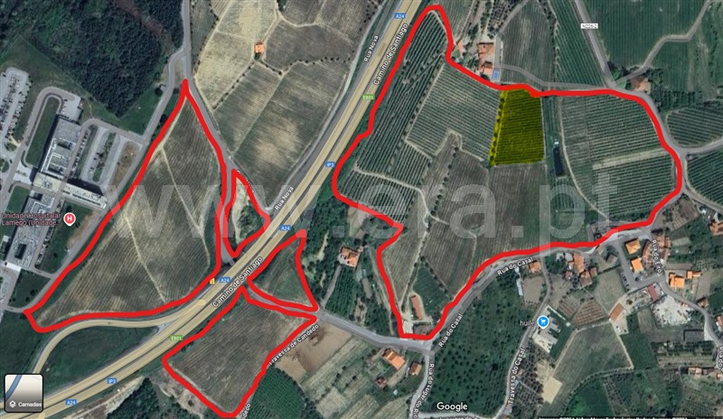 Terreno  Lamego, Lamego (Almacave e Sé) - 1411287 - 11
