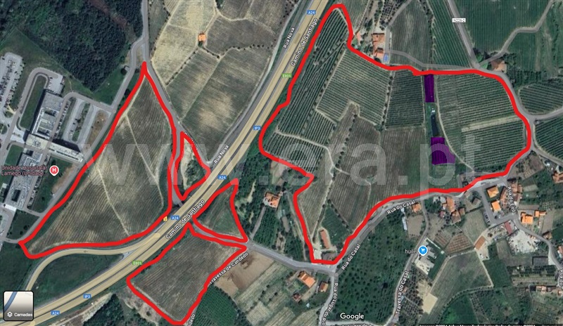 Terreno  Lamego, Lamego (Almacave e Sé) - 1411287 - 12