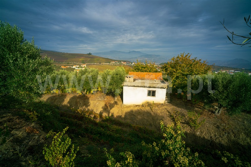 Quintinha  Lamego, Sande - 1465787 - 1