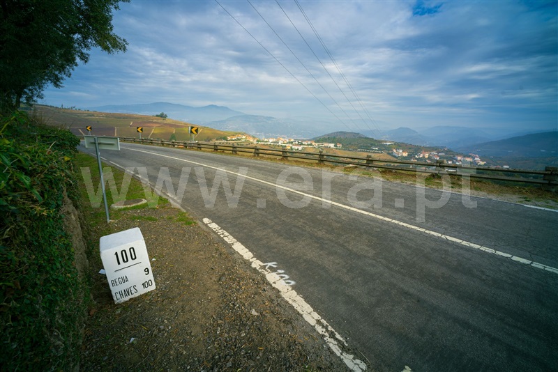 Quintinha  Lamego, Sande - 1465787 - 5