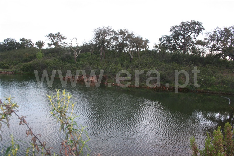 Quinta  Loulé, Salir - 1154052 - 5