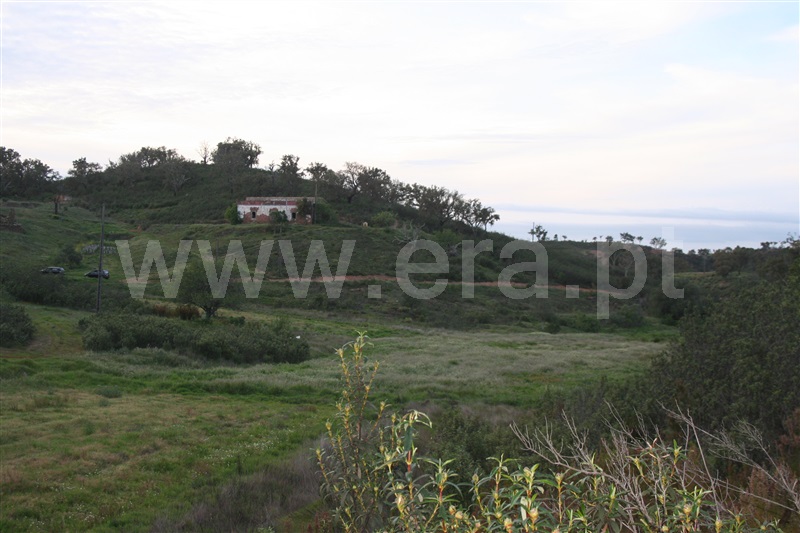 Quinta  Loulé, Salir - 1154052 - 6