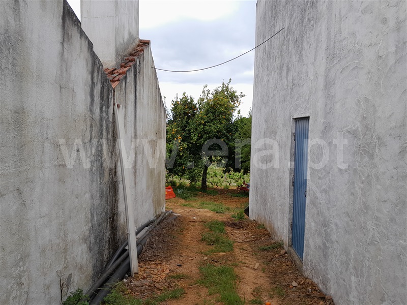 Quinta  Mação, Queixoperra - 1485040 - 8