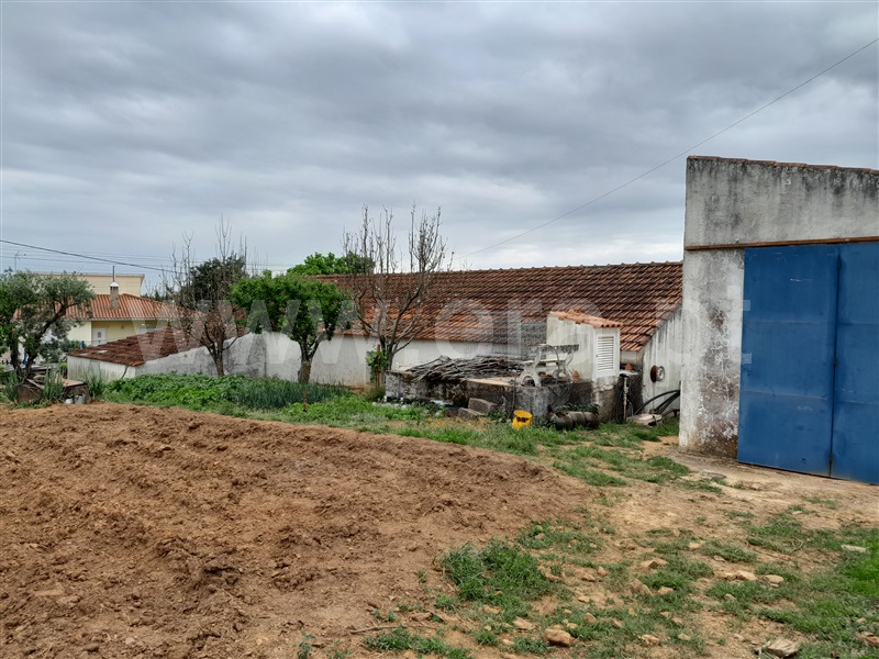 Quinta  Mação, Queixoperra - 1485040 - 11