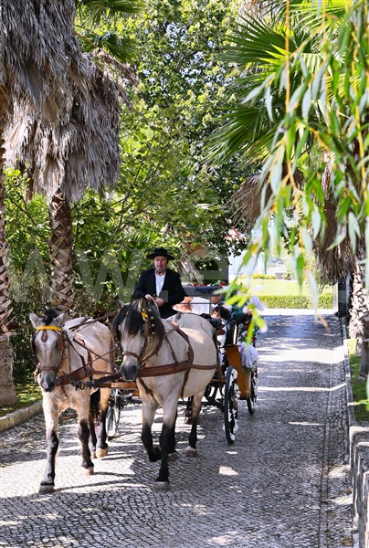 Quinta  Mafra, Venda do Pinheiro - 1158772 - 15