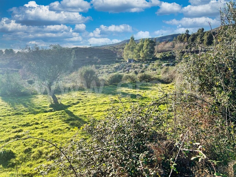 Quinta  Mangualde, Abrunhosa-a-Velha - 1380379 - 4
