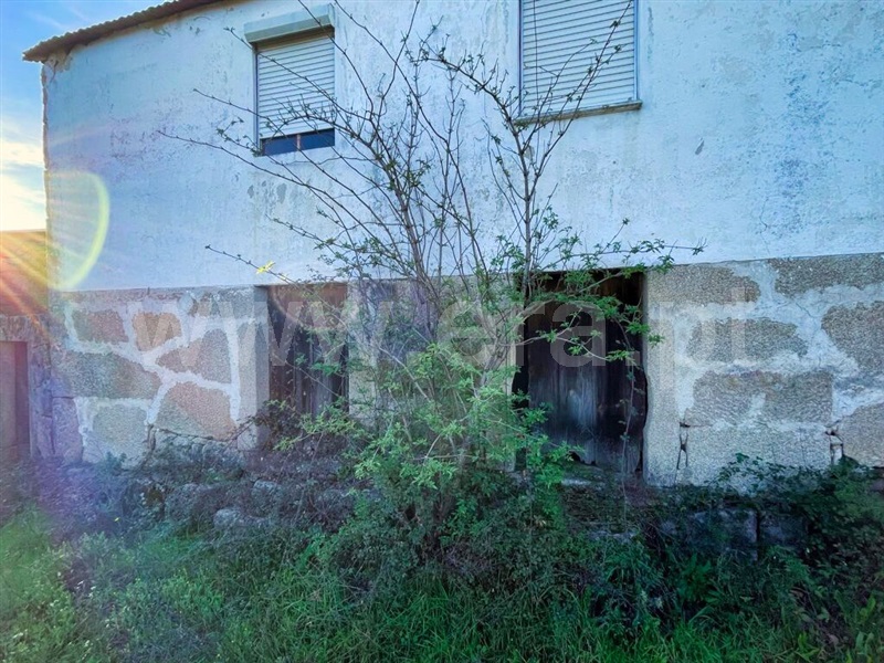 Quinta  Mangualde, Abrunhosa-a-Velha - 1380379 - 5