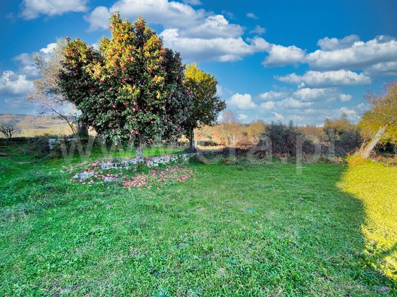 Quinta  Mangualde, Abrunhosa-a-Velha - 1380379 - 7