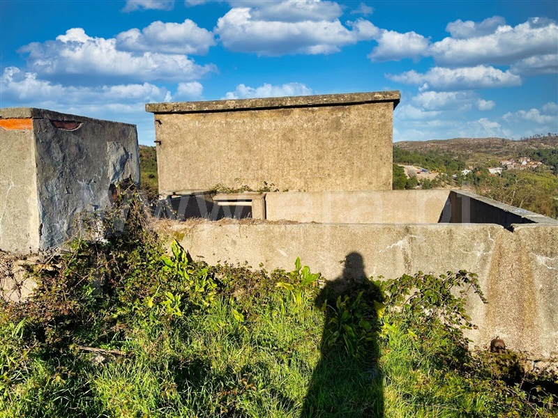 Quinta  Mangualde, Abrunhosa-a-Velha - 1380379 - 10