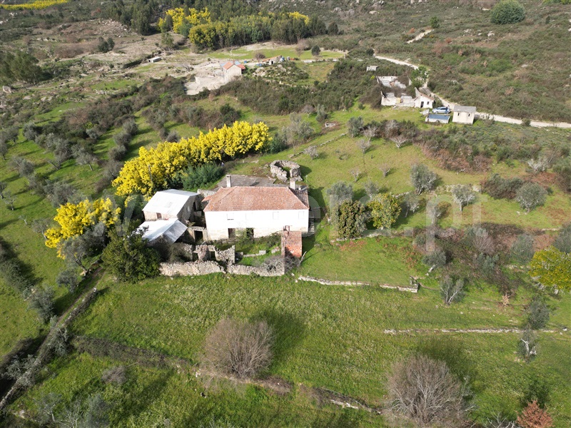 Quinta  Mangualde, Abrunhosa-a-Velha - 1380379 - 11