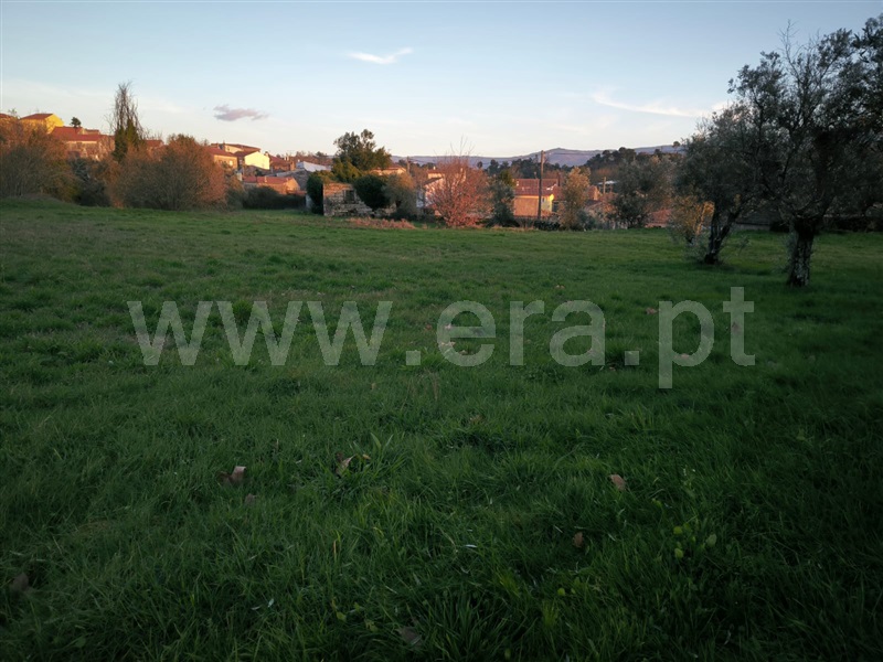 Quinta  Mangualde, Abrunhosa-a-Velha - 1476437 - 2