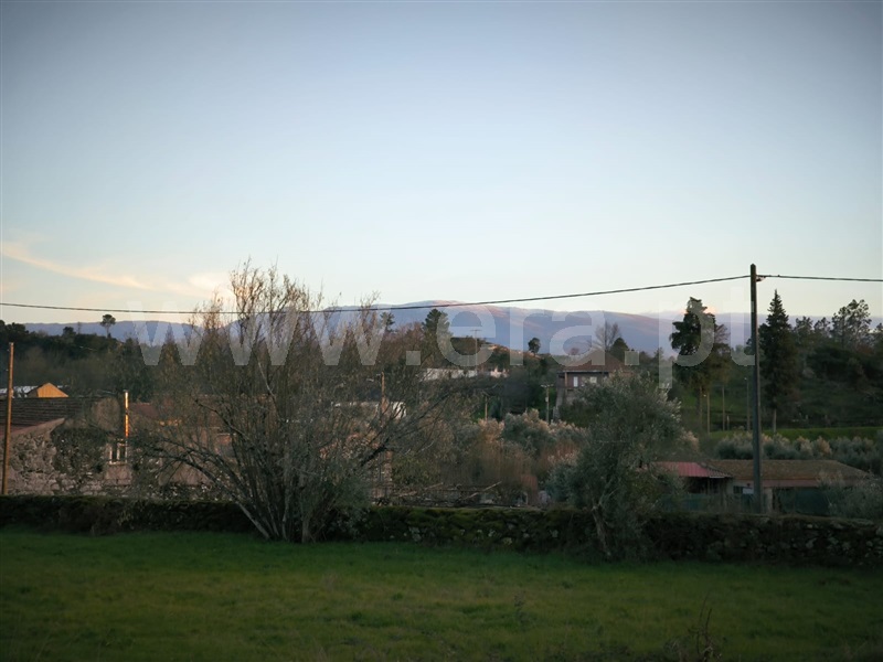 Quinta / Mangualde, Abrunhosa-a-Velha