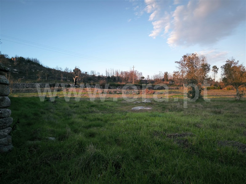 Quinta  Mangualde, Abrunhosa-a-Velha - 1476437 - 8