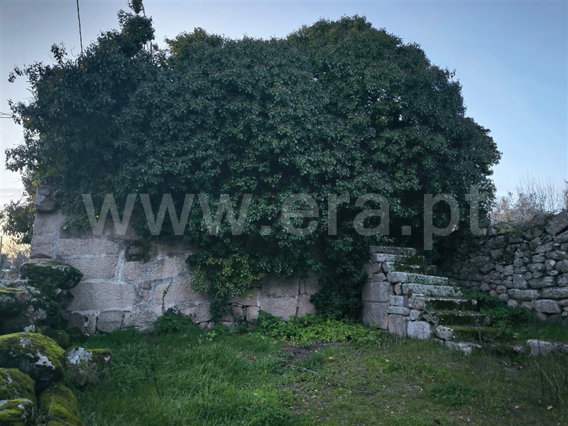 Quinta  Mangualde, Abrunhosa-a-Velha - 1476437 - 11