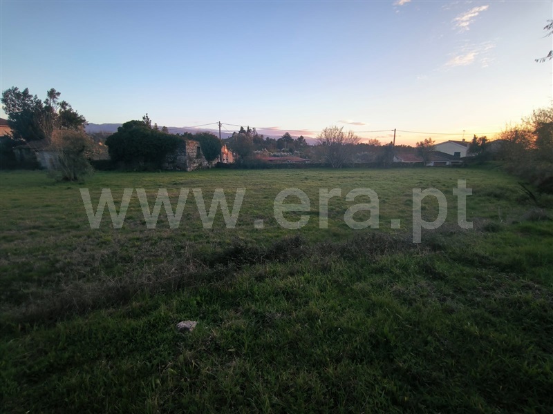 Quinta  Mangualde, Abrunhosa-a-Velha - 1476437 - 13