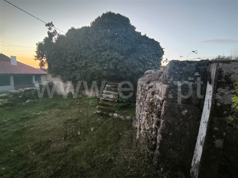 Quinta  Mangualde, Abrunhosa-a-Velha - 1476437 - 14