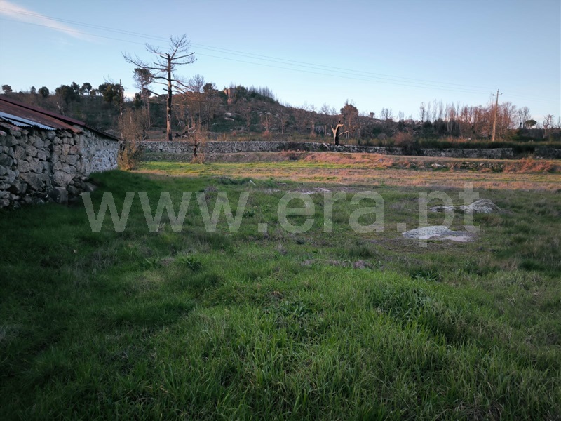 Quinta  Mangualde, Abrunhosa-a-Velha - 1476437 - 18