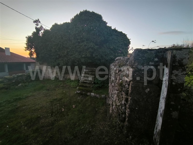 Quinta  Mangualde, Abrunhosa-a-Velha - 1476437 - 21