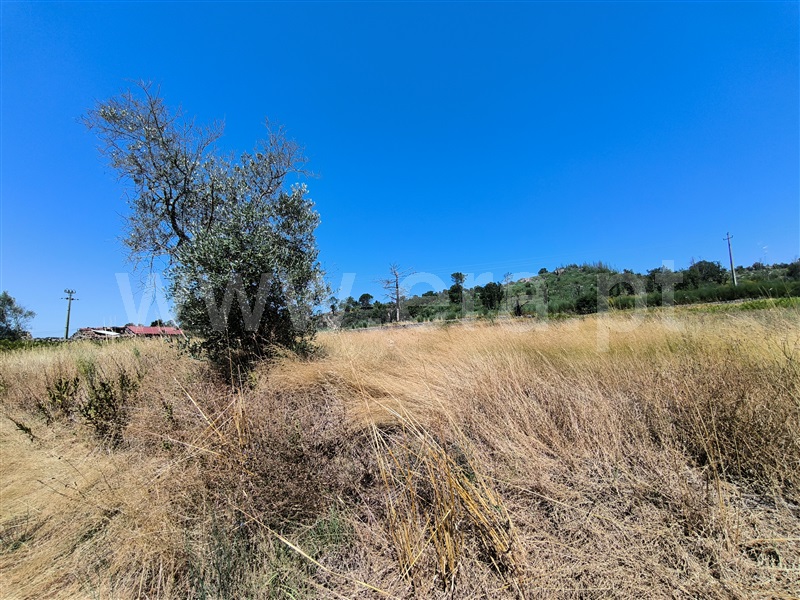 Quinta  Mangualde, Abrunhosa-a-Velha - 1476437 - 5
