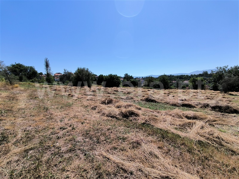 Quinta  Mangualde, Abrunhosa-a-Velha - 1476437 - 6