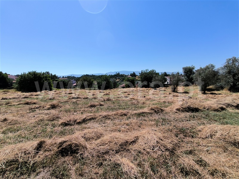 Quinta  Mangualde, Abrunhosa-a-Velha - 1476437 - 8