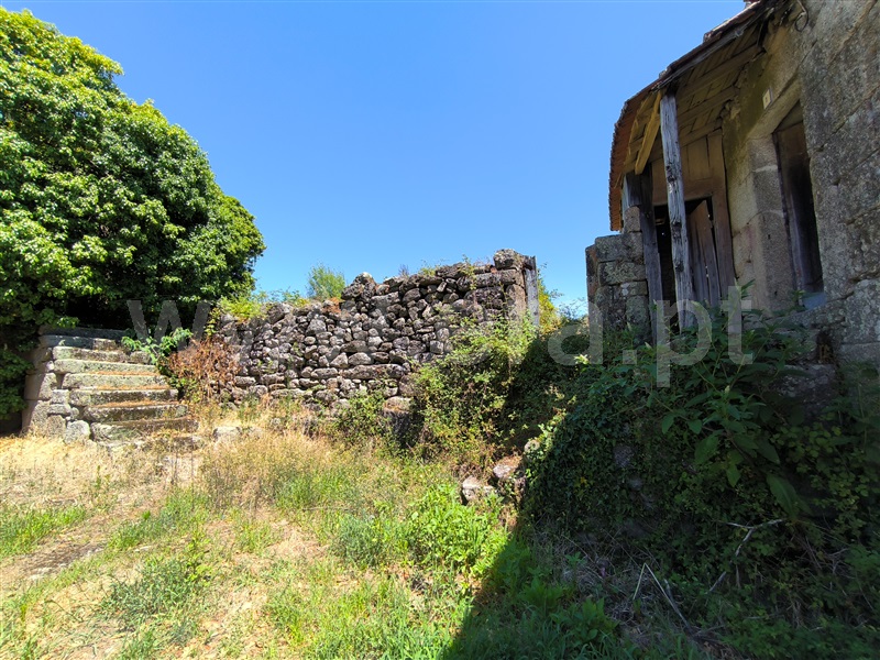 Quinta  Mangualde, Abrunhosa-a-Velha - 1476437 - 11