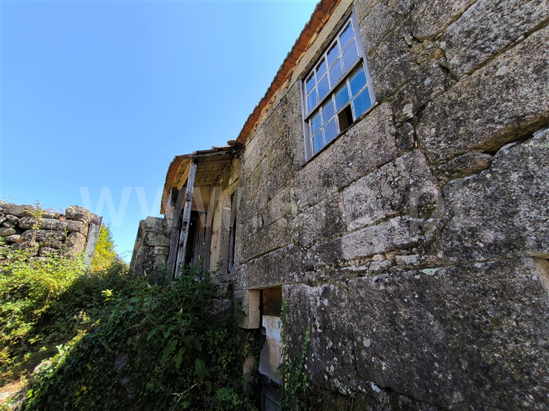 Quinta  Mangualde, Abrunhosa-a-Velha - 1476437 - 12