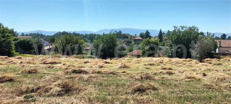 Quinta  Mangualde, Abrunhosa-a-Velha - 1476437 - 14
