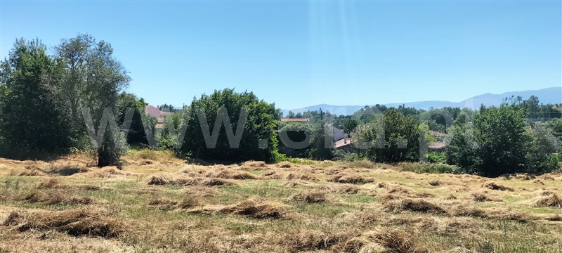 Quinta  Mangualde, Abrunhosa-a-Velha - 1476437 - 15