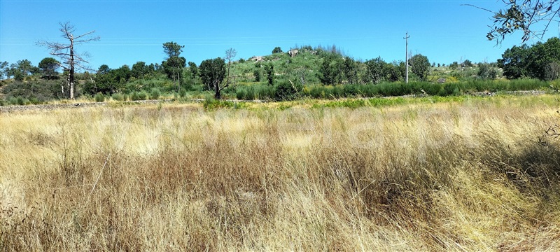 Quinta  Mangualde, Abrunhosa-a-Velha - 1476437 - 16