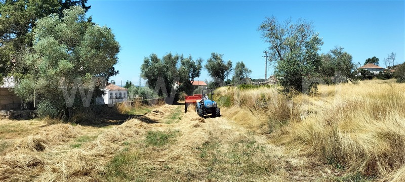 Quinta  Mangualde, Abrunhosa-a-Velha - 1476437 - 17