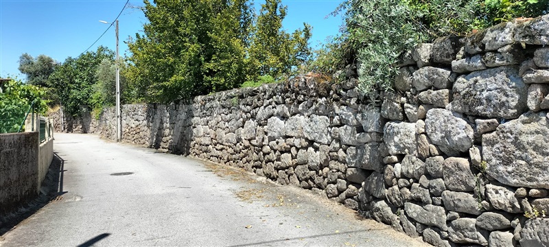 Quinta  Mangualde, Abrunhosa-a-Velha - 1476437 - 19